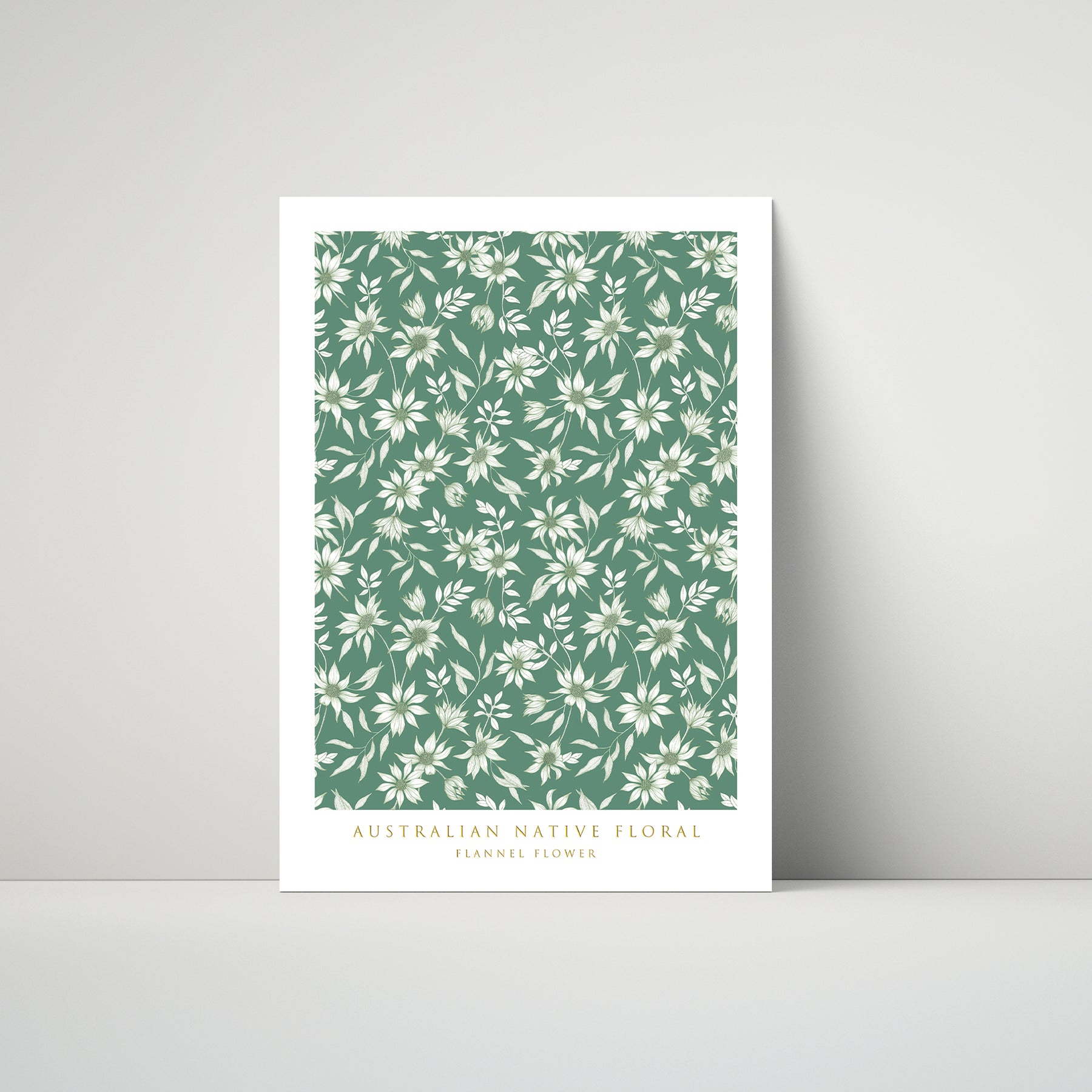 Flannel Flower Art Print