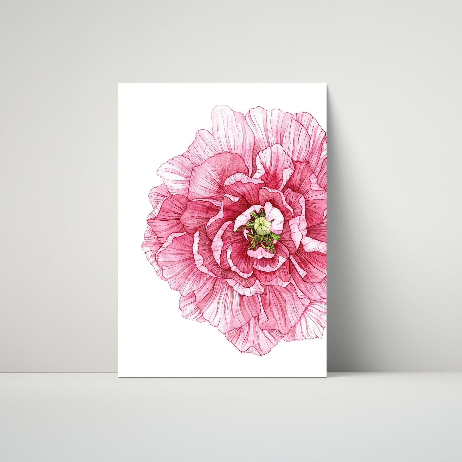 Pink Peony Art Print