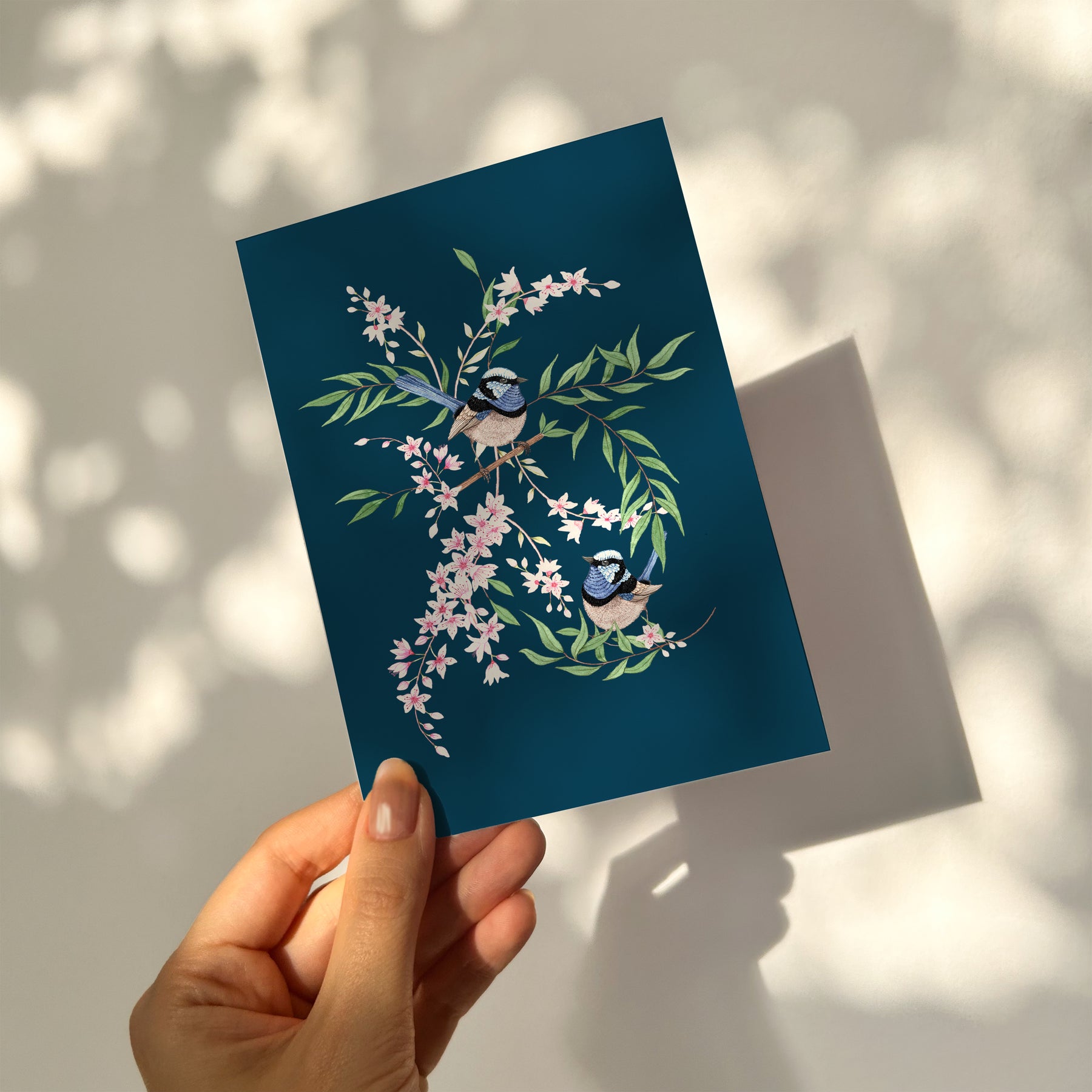 Superb Fairywrens Greetings Card