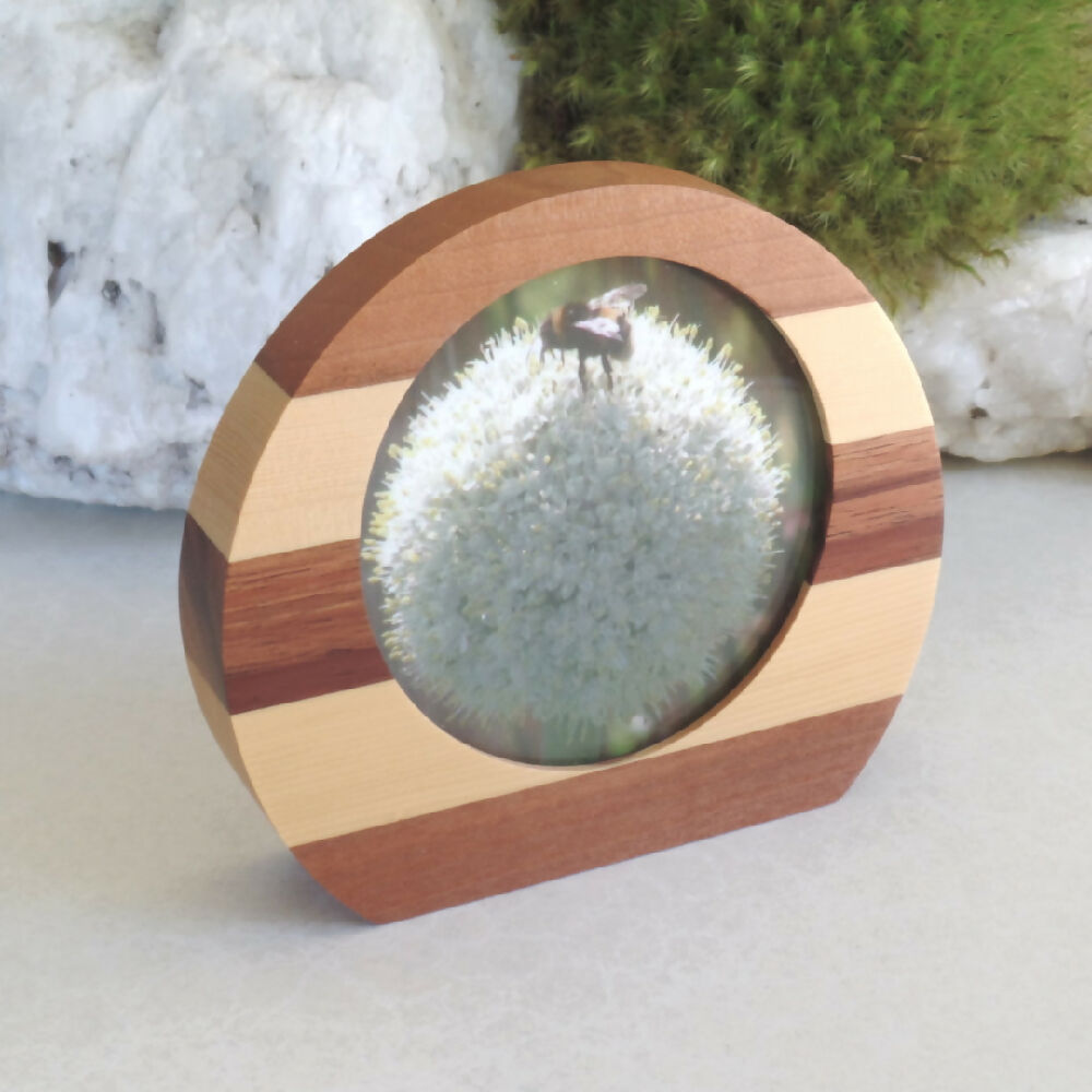 Small Rounded Photo Frame- Myrtle, Huon Pine & Blackwood