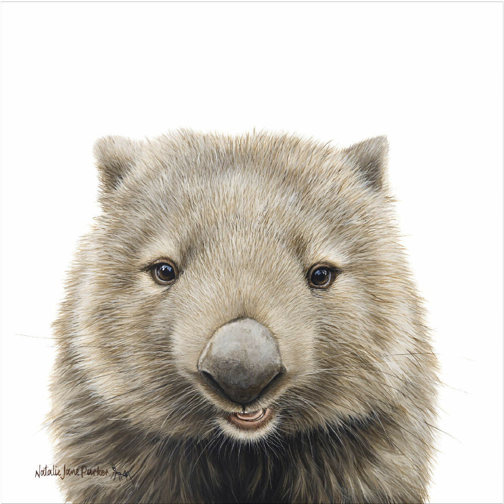 Bare-nosed Wombat_300mm_1px edge copy