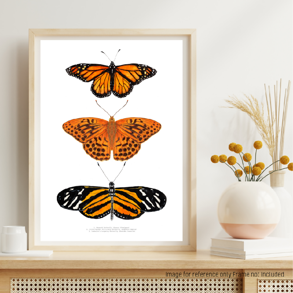 at print - the fauna series - orange butterfly trio