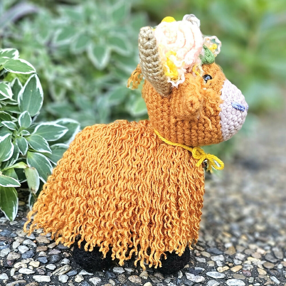 Highland Cow2