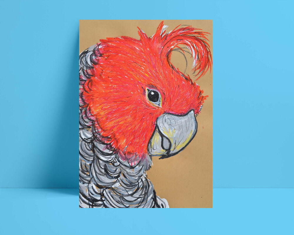 Gang Gang Cockatoo Print A3