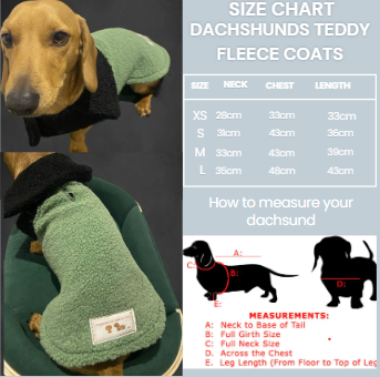 Dachshund coats for dog/puppy. Handmade Pet clothing/costume