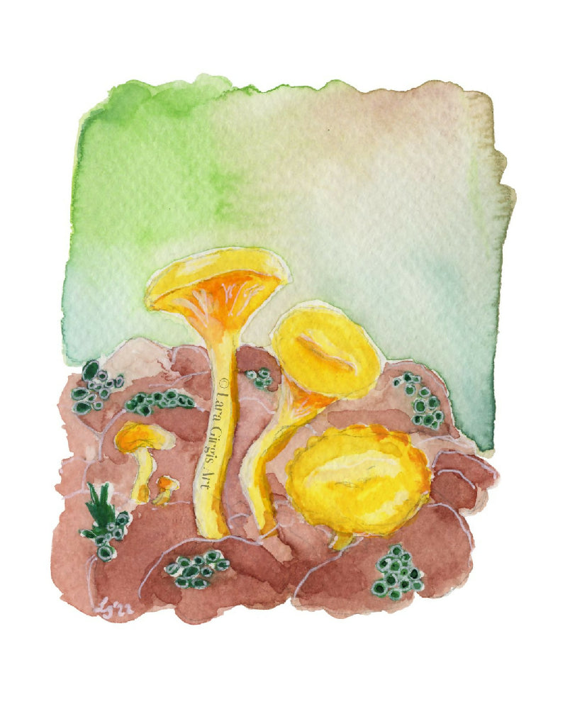 Yellow mushrooms - art print