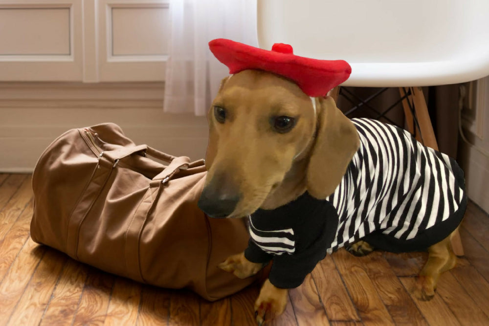 Beret and black and white striped tshirt 1