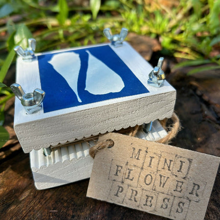 Mini Flower Press, decorated with Banksia Leaves Cyanotype Art