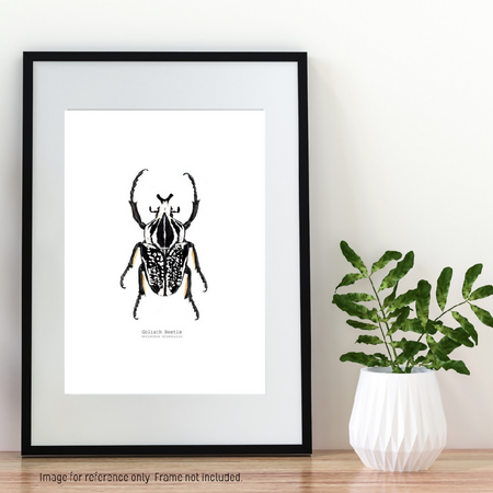 Watercolour Art Print - The Fauna Series - 'Goliath Beetle'