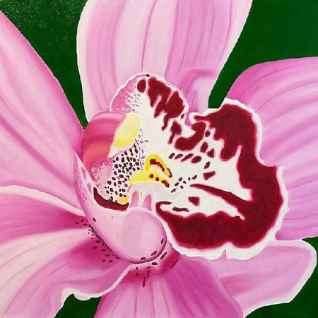 Pink Orchid