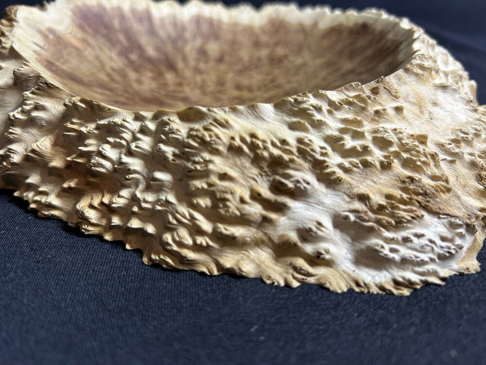 Australian Brown Mallee burl bowl