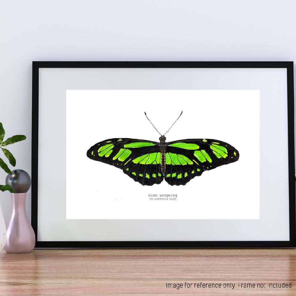 art print - the fauna series - dido longwing butterfly