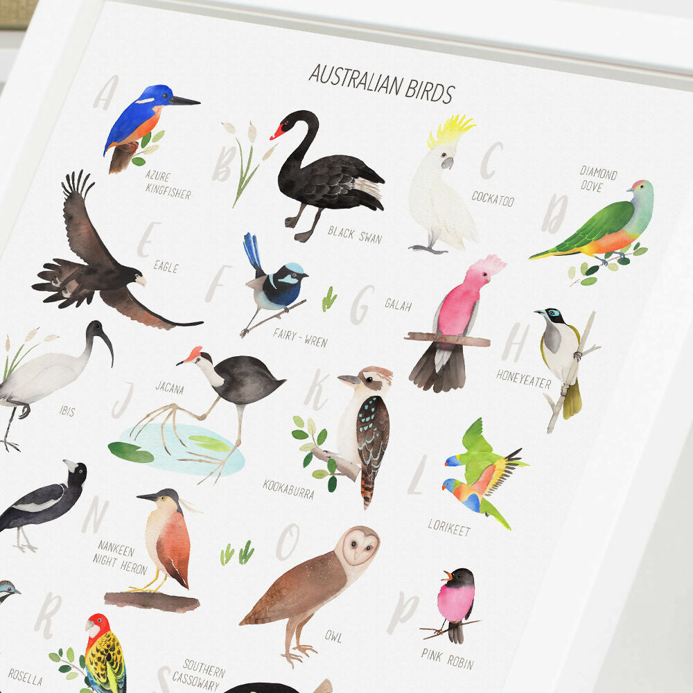 Educational-posters-australia-native-birds-alphabet-@happylazuly3