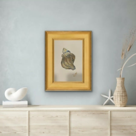 Small Watrcolor Painting of a classic Shell