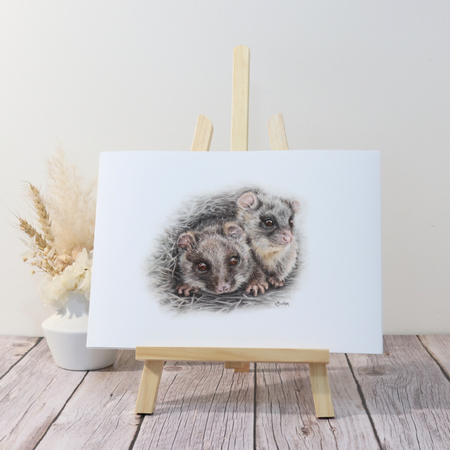 Wall Art Ringtail Possums Print