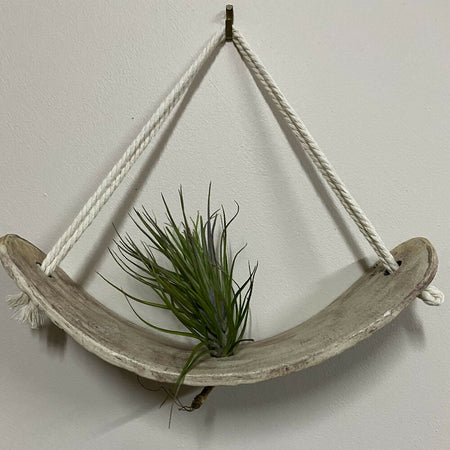 Air Plant Cradle Hanger / Handmade Pottery