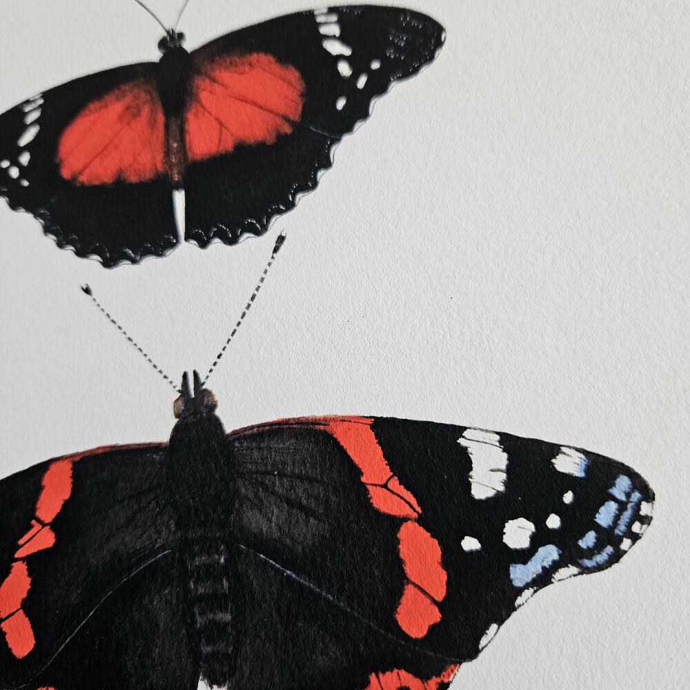 watercolour art print - insect series - red butterfly trio