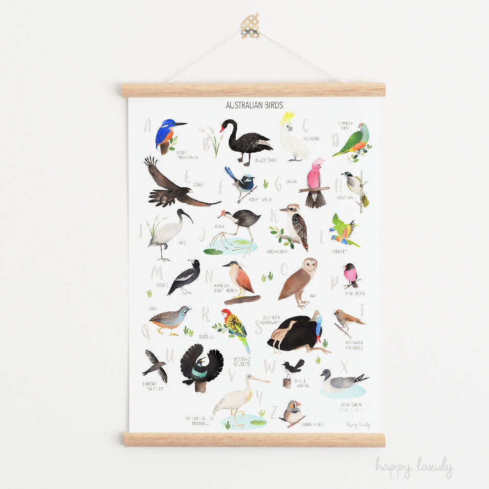 Educational-posters-australia-native-birds-alphabet-@happylazuly1