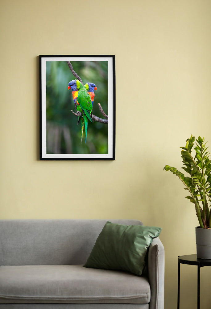 Lorikeet-Lovers-Room-Mochup-1024x700-Watermark-WEB