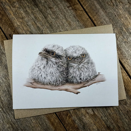 Blank Greeting Card - Tawny Frogmouth chicks