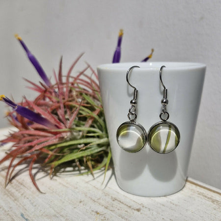 Khaki Gold & White Stainless Steel Earrings