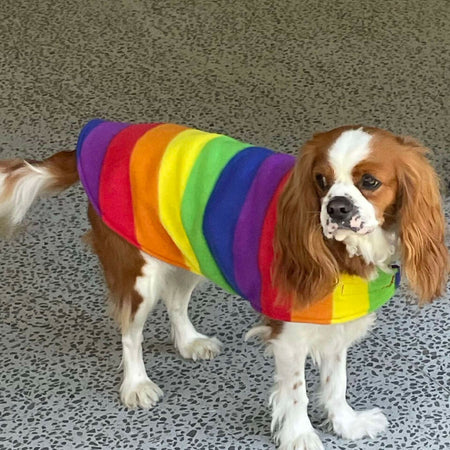 Dog Coat Rainbow & Stripe Collection 29 Sizes Double Fleece