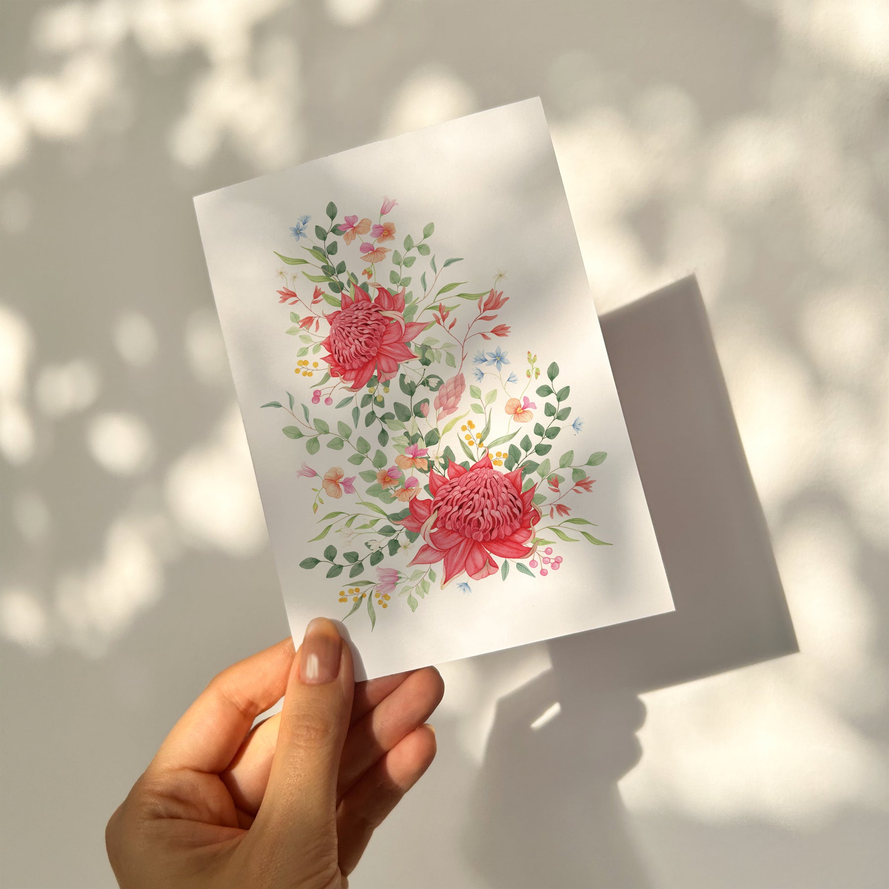 Waratah Floral Greetings Card
