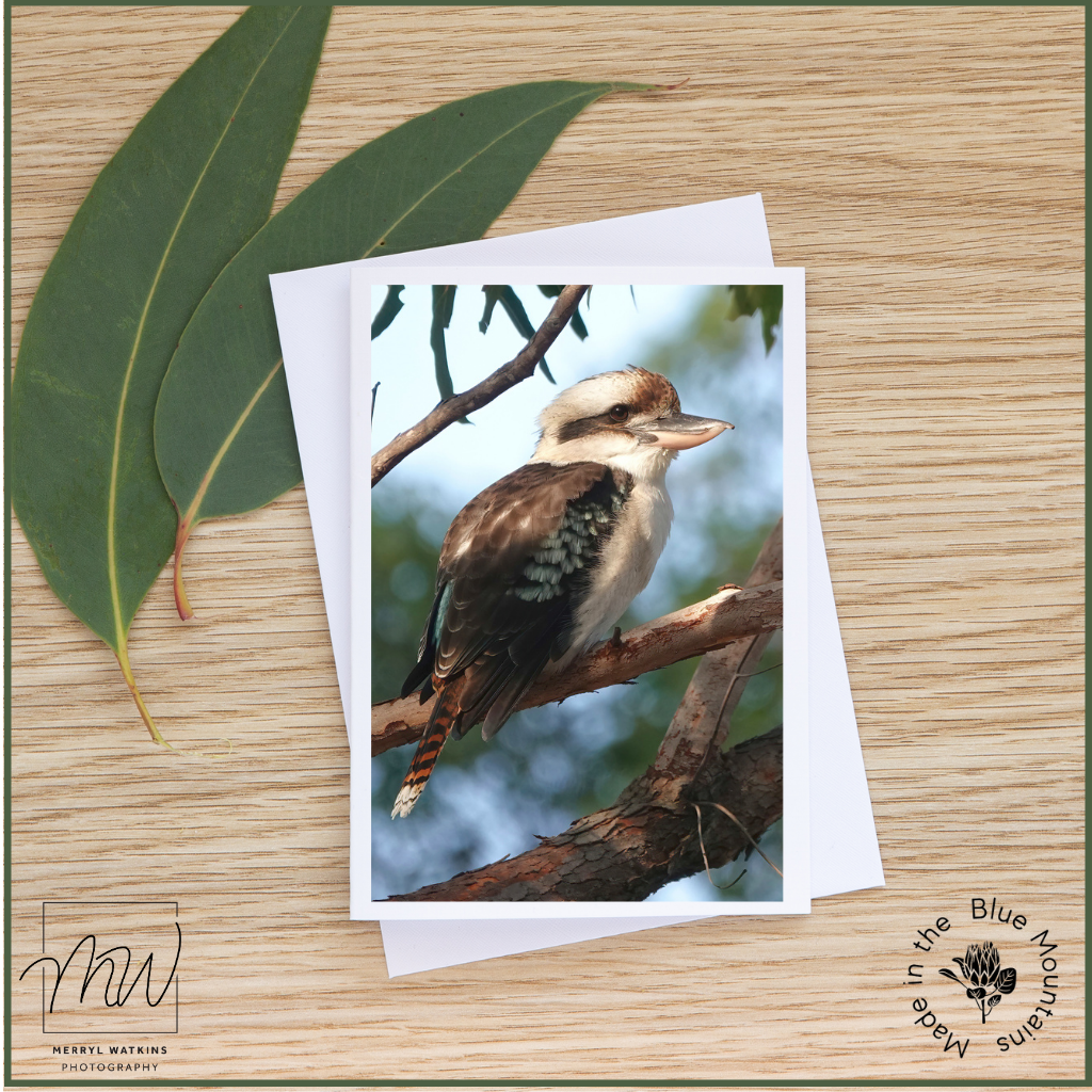 Blank Greeting Card - Laughing Kookaburra