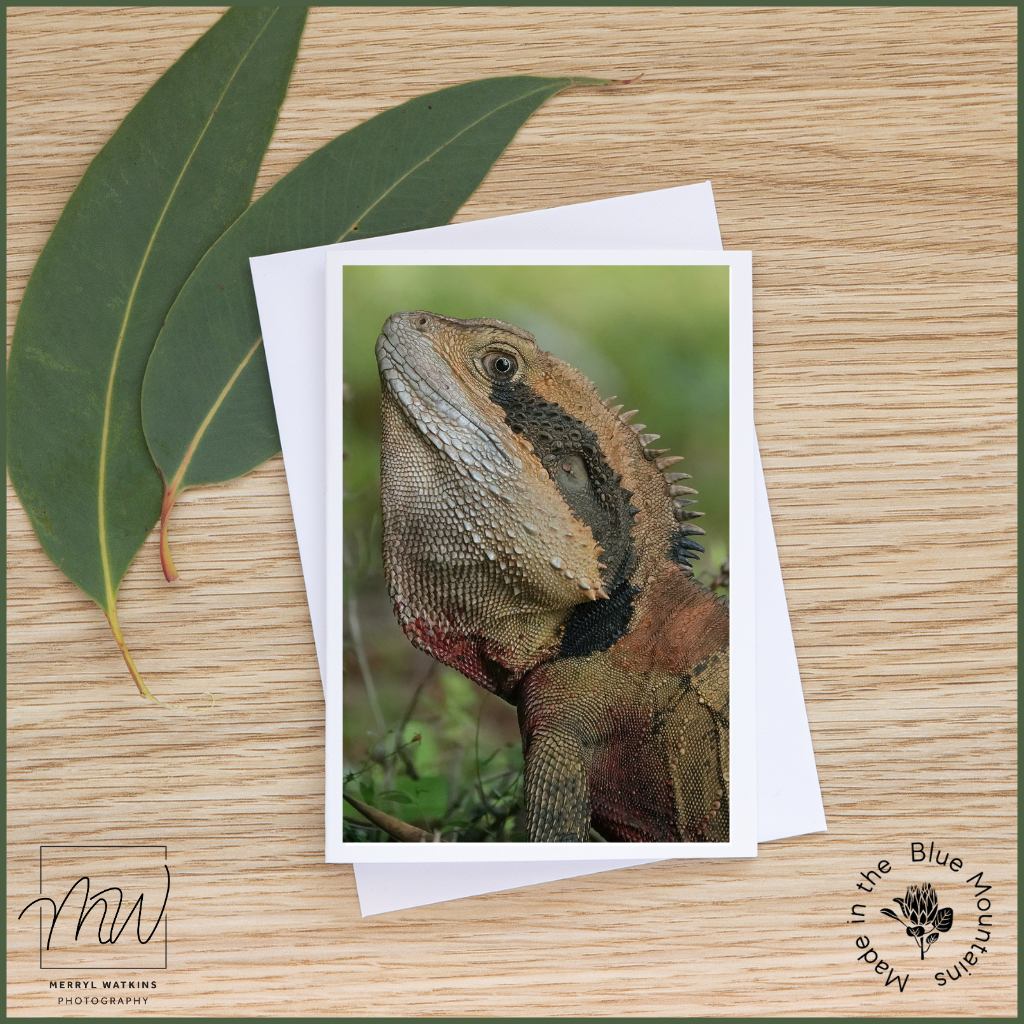 Blank Greeting Card - The Dragon (Eastern Water Dragon)