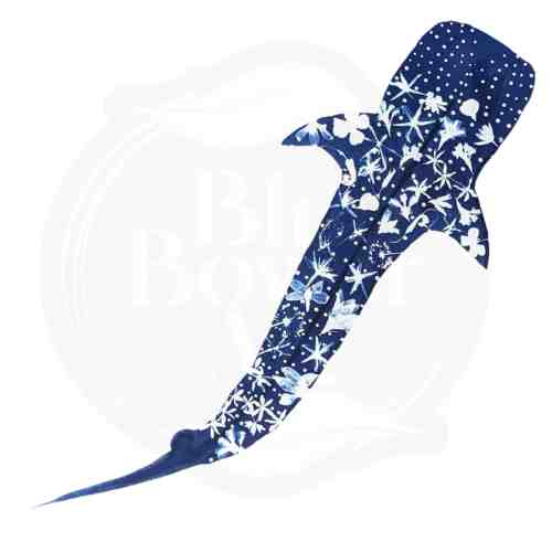 Whale Shark Art Print from Native Flowers