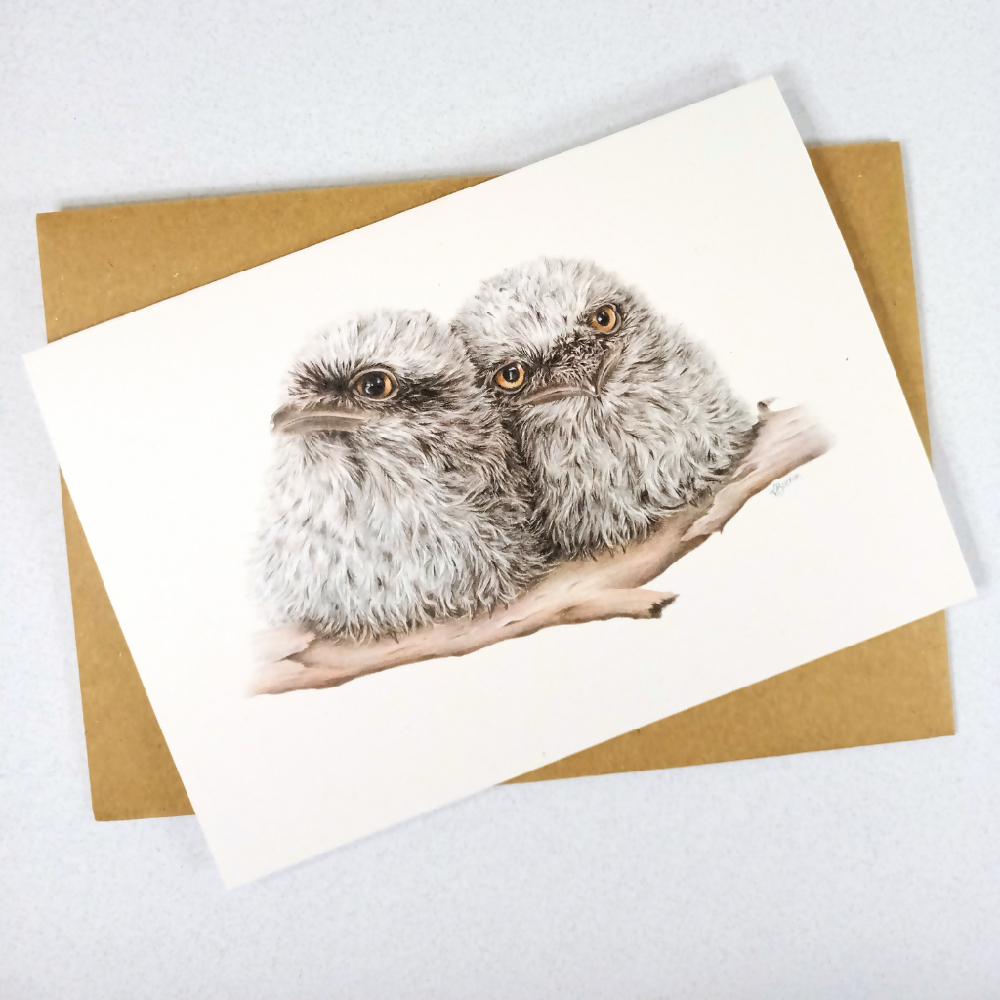 Australian-artist-greeting-card-tawny-frogmouth-chicks