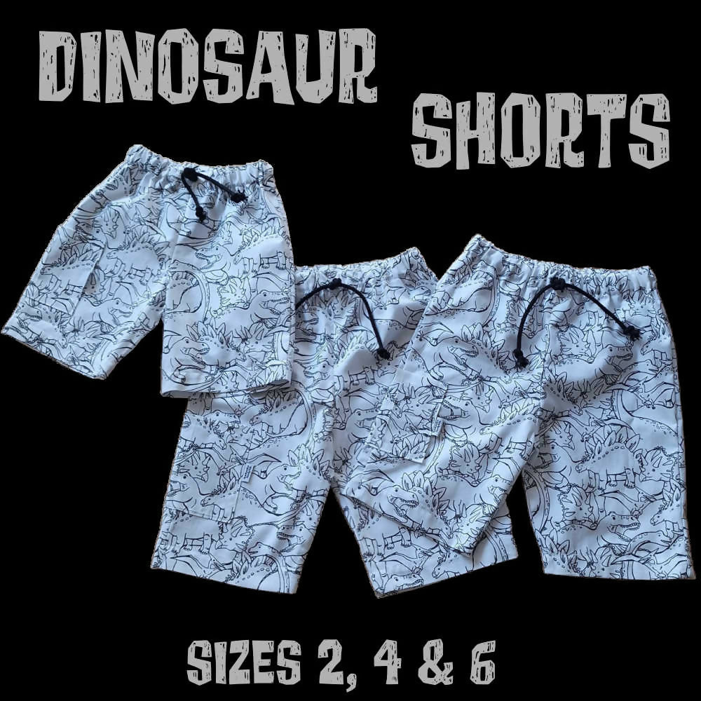 Boys Dinosaur Print Shorts with Pocket | Size 2, or 6 years