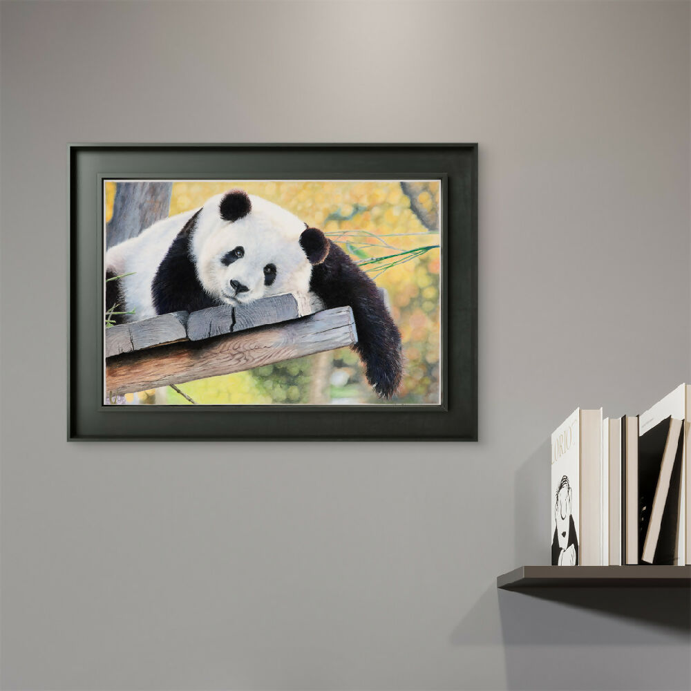 1080x1080-shelf