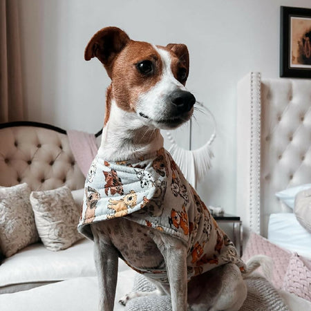 Dog Coat Dog Print Collection 29 Sizes Flannelette Fleece