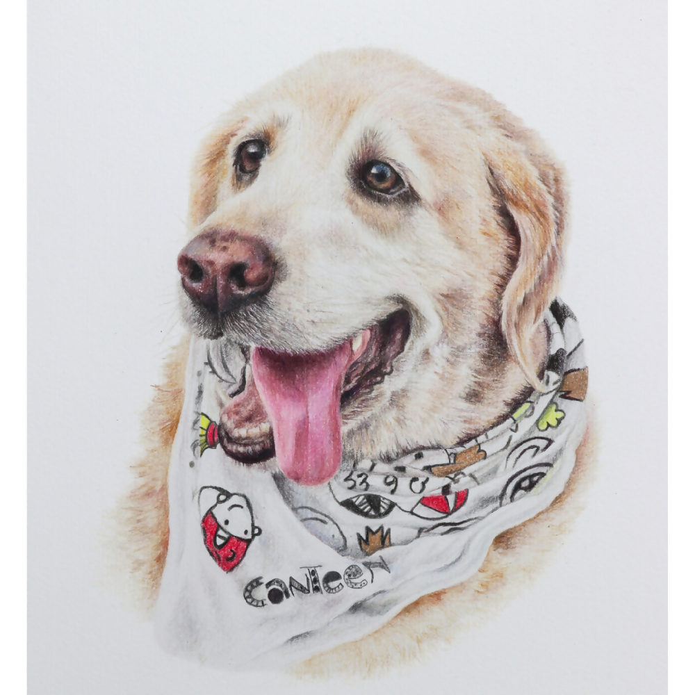 Australian-artist-custom-pet-portrait-dog-labrador