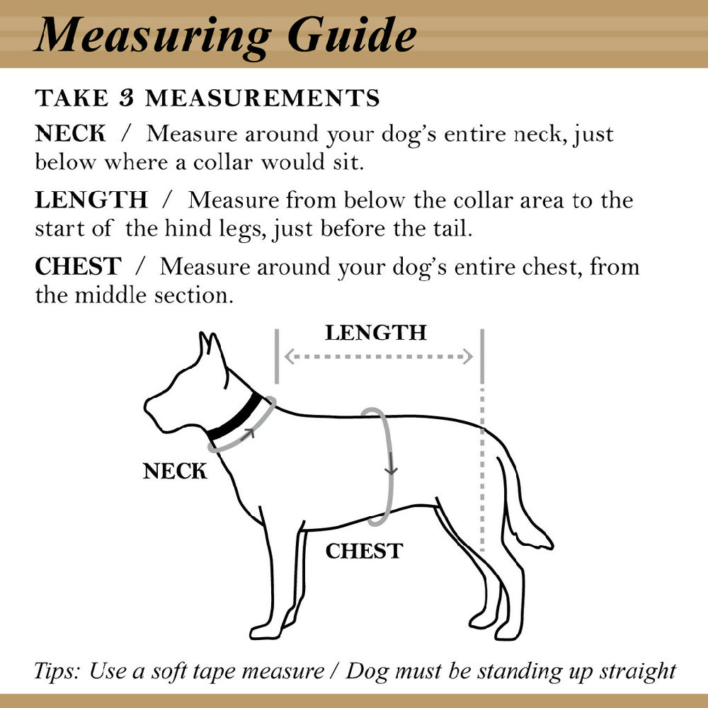 measuring guide_pantone 874_web