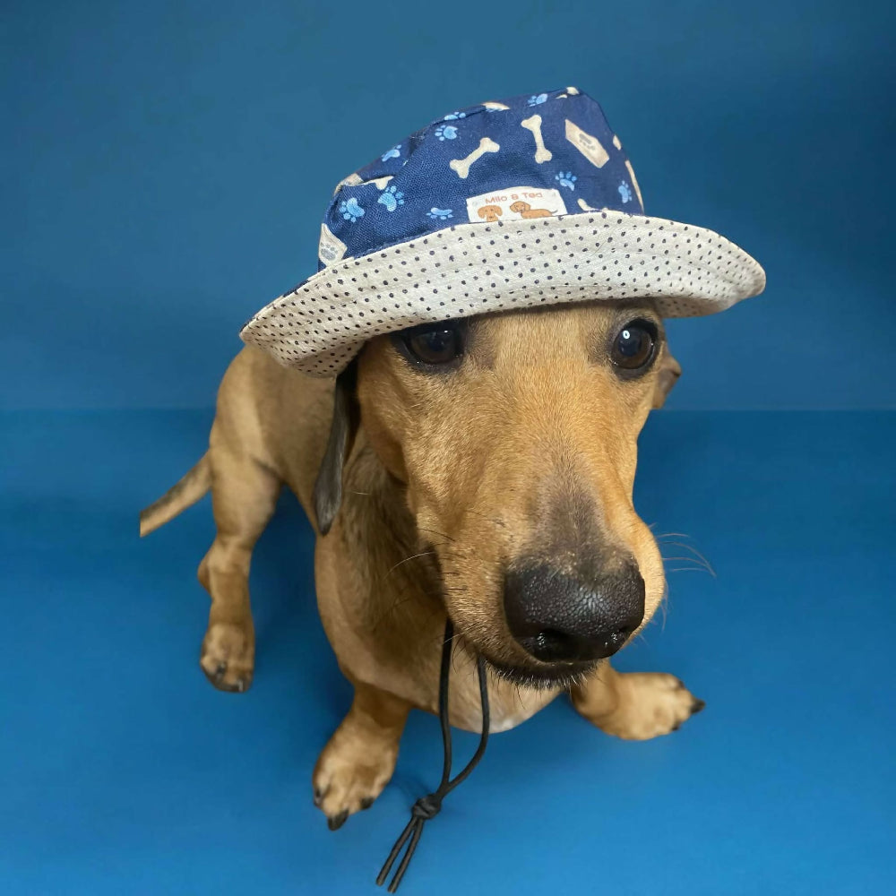 blue bucket hat 1