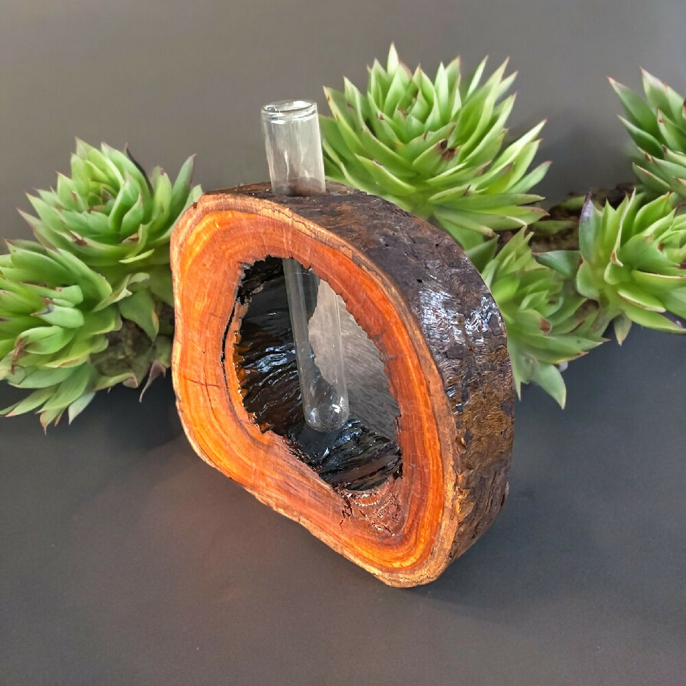 Rustic hardwood vase - full - test tube
