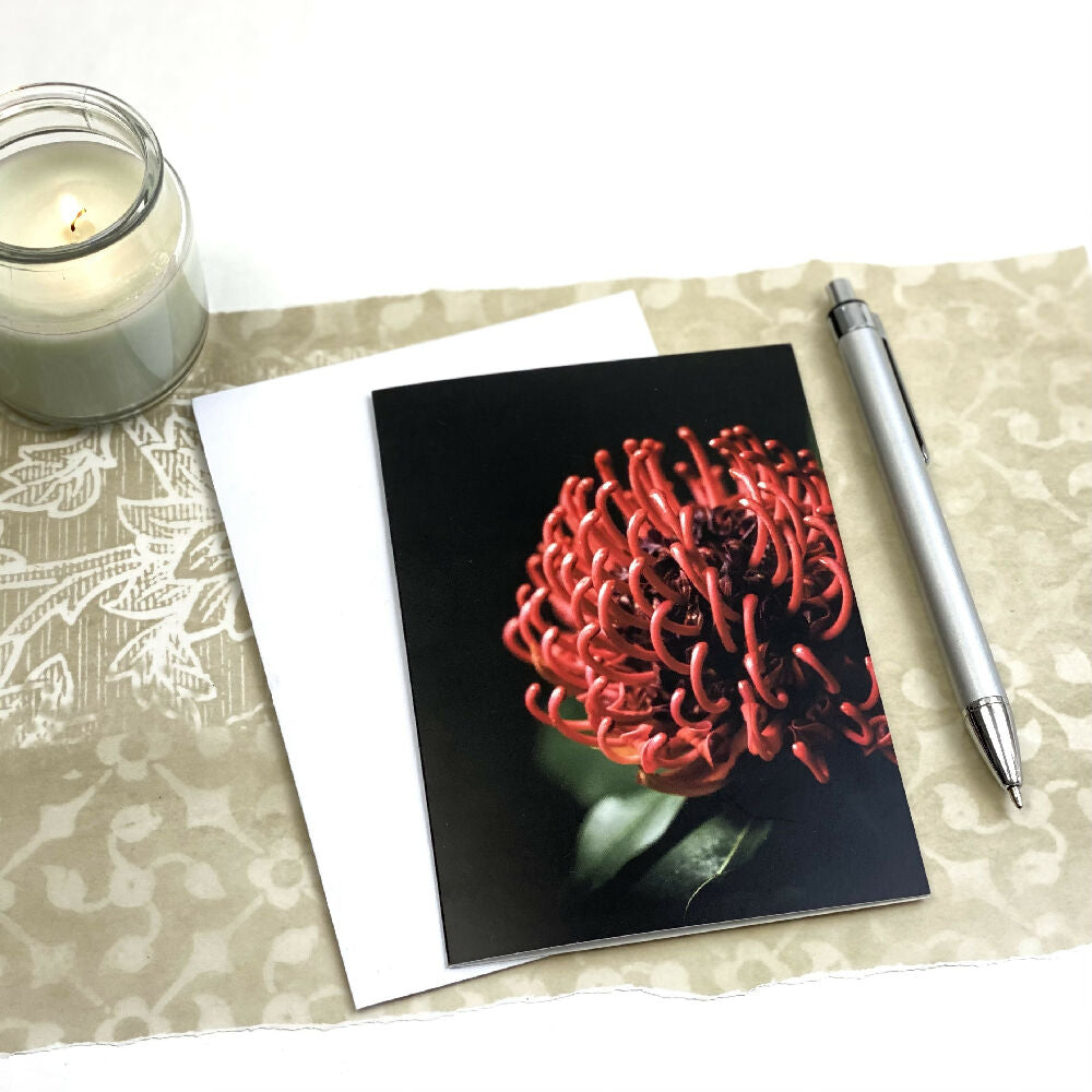 red waratah fine art flower