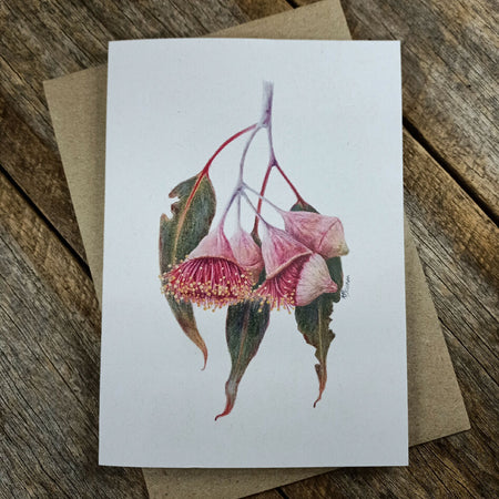 Blank Greeting Card - Eucalyptus Gum Blossom