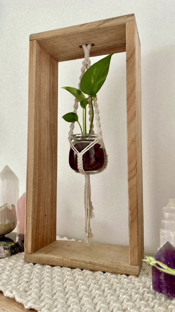 Framed Macrame Propagation Stations