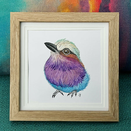 Lilac-breasted roller frame