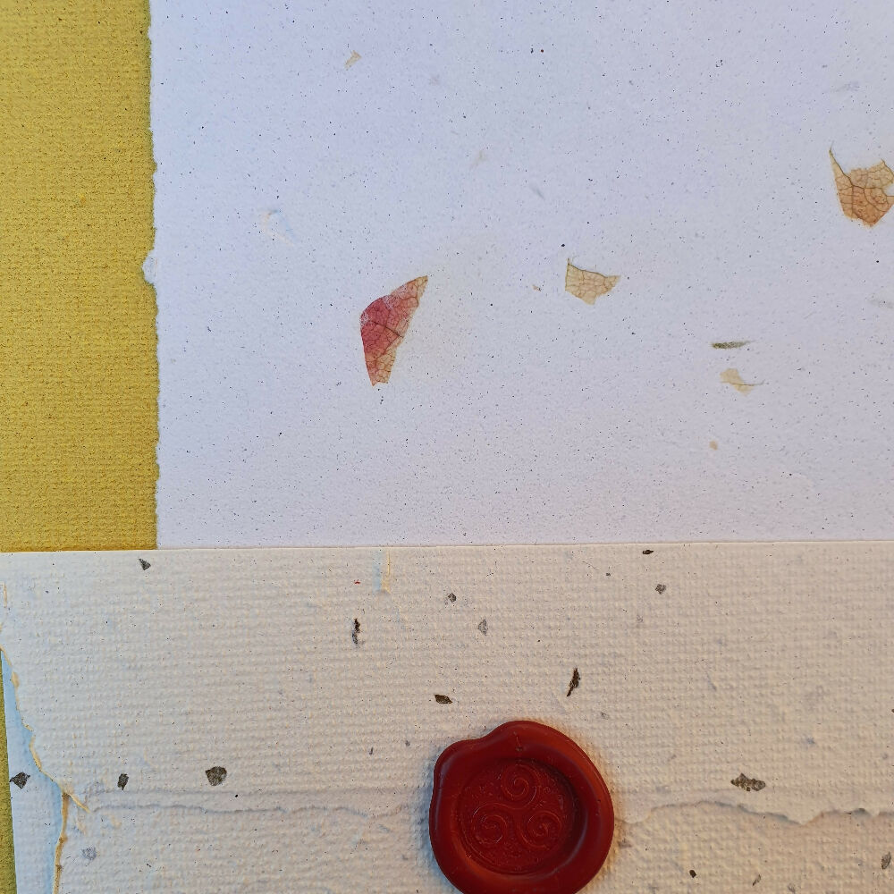 stationery peppermint envelope 7-edit-20240716155936