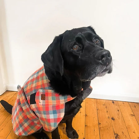 Pumpkin Spice Flannelette Dog Coat