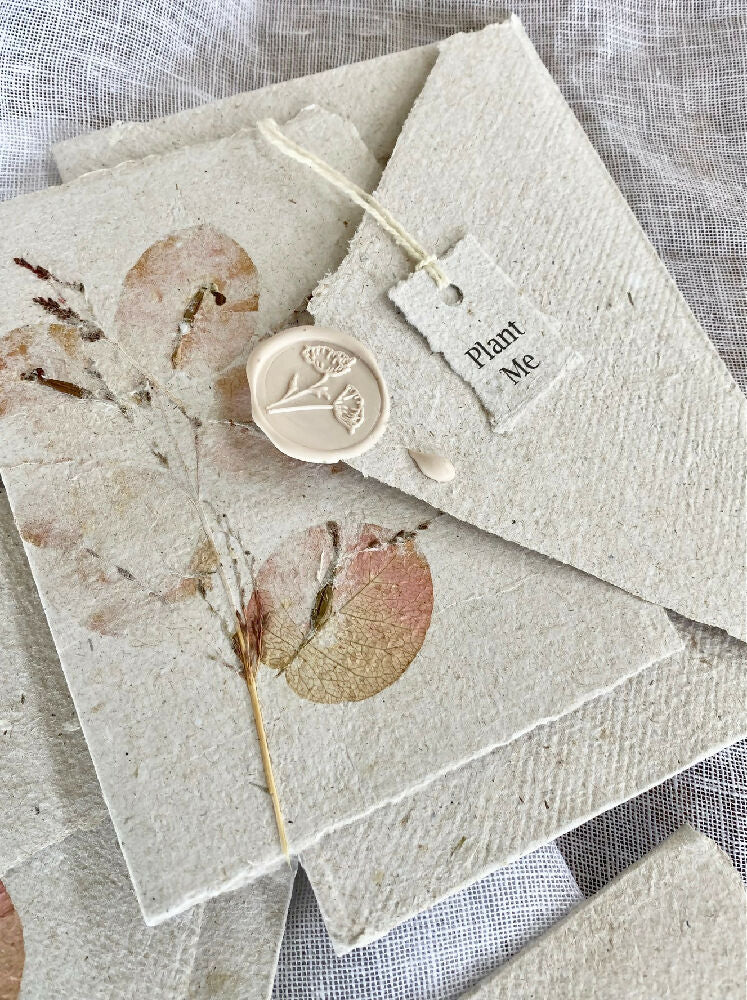 Plantable Seeded Handmade Paper Cards with FREE SHIPPING