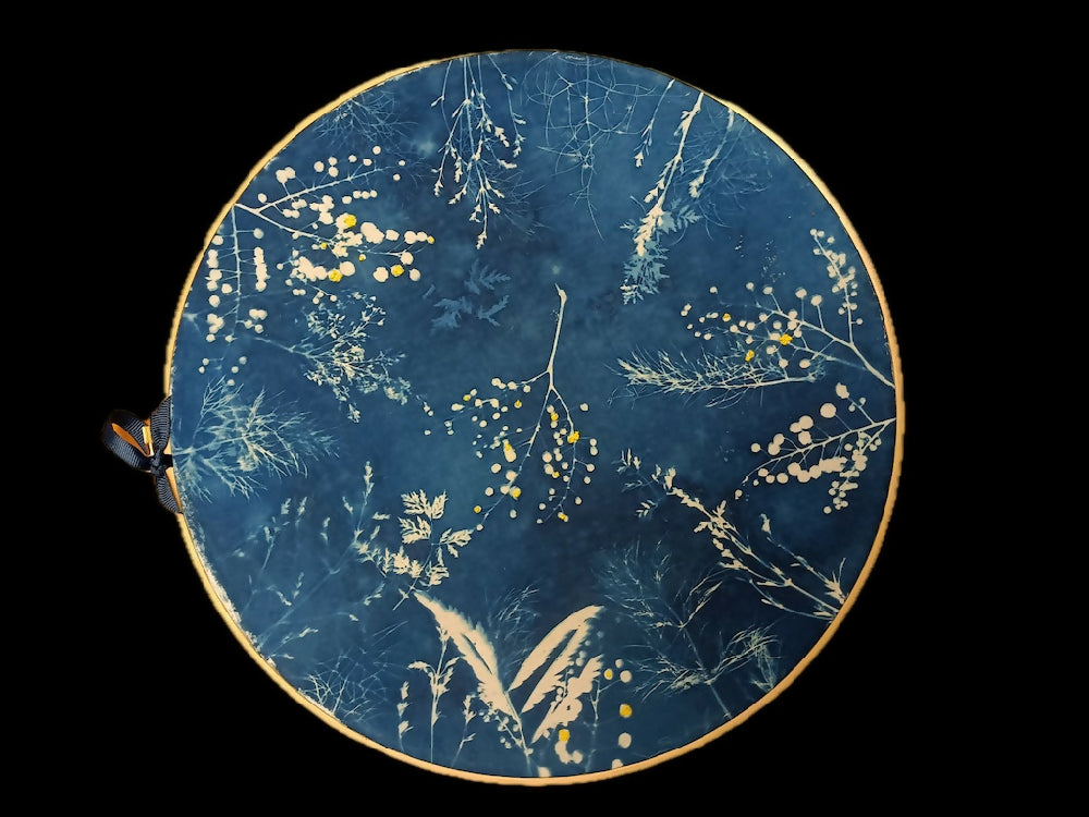 Cyanotypes and hand embroideries in timber hoops various sizes