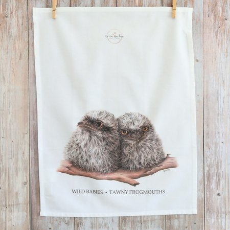 Tea Towel - Tawny Frogmouth Chicks