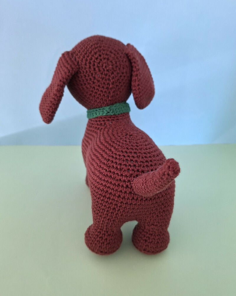 dachshund rear