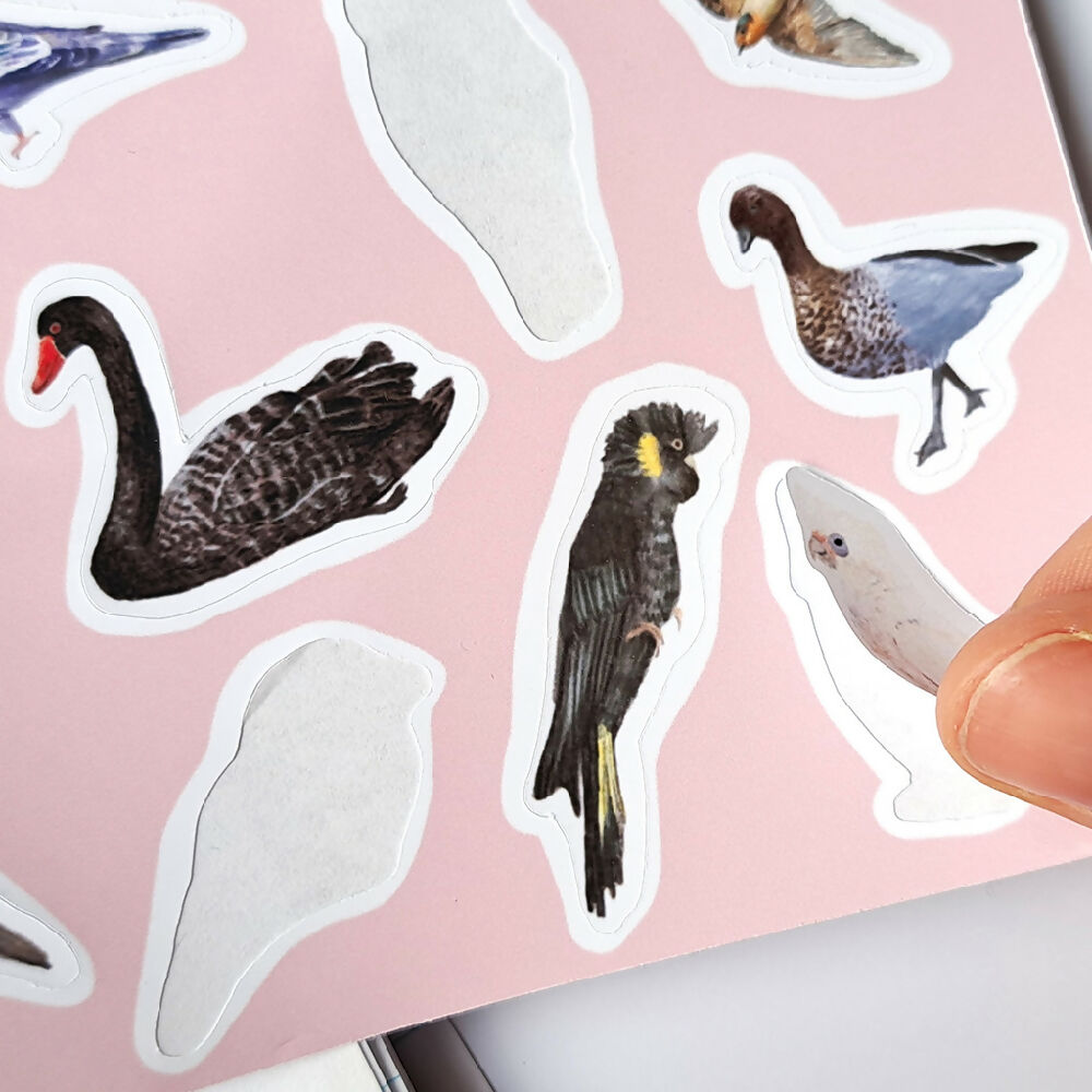 Sticker Sheet of Australian Birds