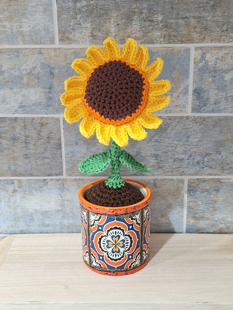 sunflower 1